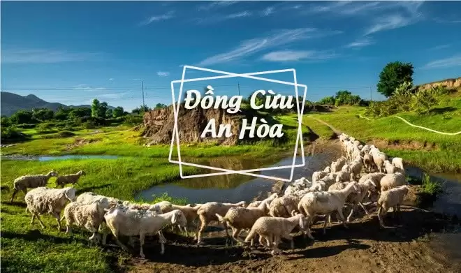 Thuê Xe Đi Đồng Cừu An Hòa Uy Tín, Giá Trọn Gói