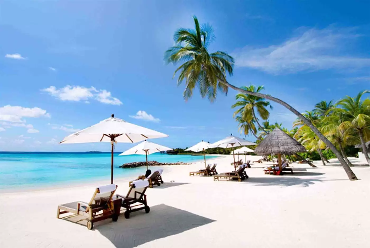 Taxi Phan Rang đi du lịch Nha Trang