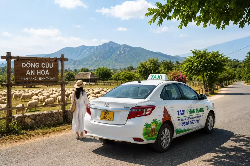 Taxi Đi Đồng Cừu An Hòa – Xe Có Ngay, Đi Chơi Không Lo Trễ