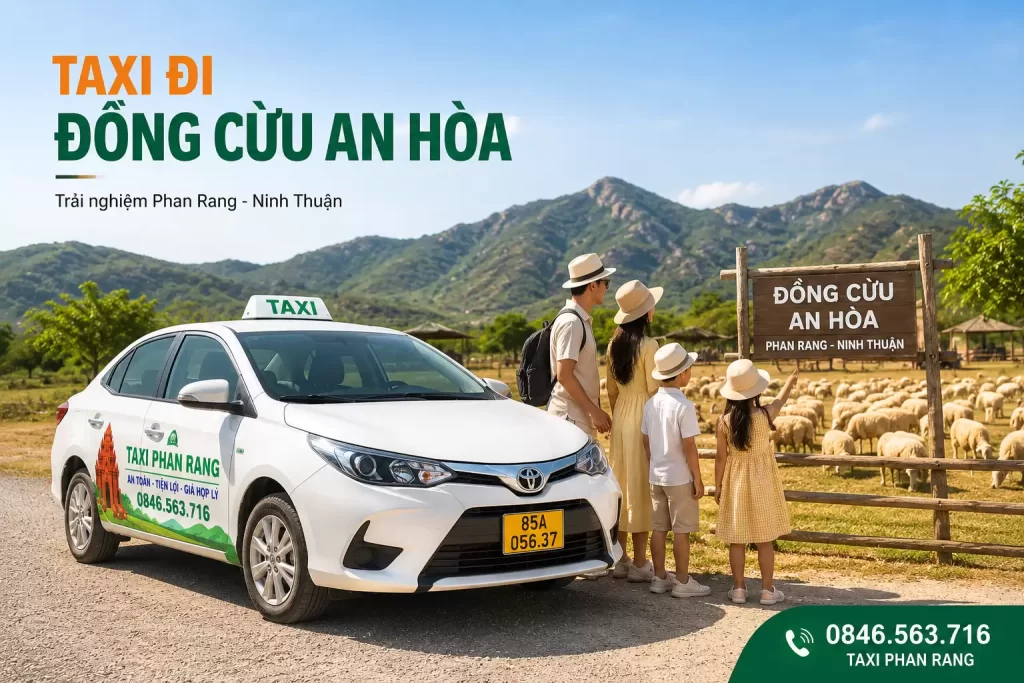 Taxi Đi Đồng Cừu An Hòa – Xe Có Ngay, Đi Chơi Không Lo Trễ